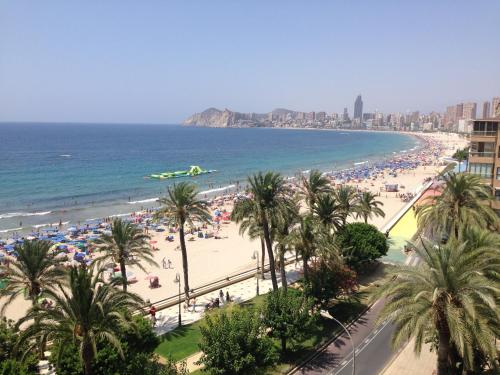 a beach with palm trees and crowds of people at Flats Friends Atlantida in Benidorm