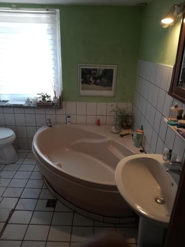 a bathroom with a large tub and a sink at Ruhig und spartanisch Wohnen in Lichtenwalde 2 in Lichtenwalde