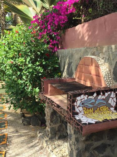 Κήπος έξω από το Casa Jujube