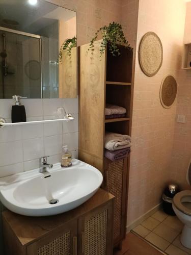 une salle de bain avec un lavabo et un miroir et des toilettes dans l'établissement Maison d'hôtes Les Vallées, à Saint-Quentin-sur-le-Homme
