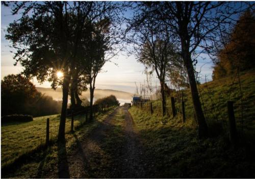 a dirt road with trees on the side of a field at Self Contained Yurt - Botany in Tintern