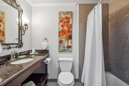 a bathroom with a toilet and a sink and a shower at Villa Montes Hotel in San Bruno