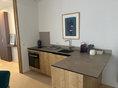 une cuisine avec un évier et un plan de travail dans l'établissement Alma - Appartement au cœur du Palais des papes, à Avignon