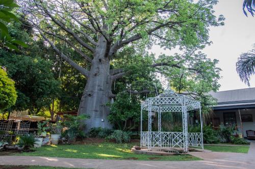 a white cage in front of a tree at Dei Gratia Guest House in Musina