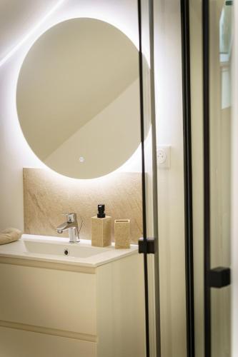 une salle de bain avec un lavabo et un miroir dans l'établissement Studio Paprika 2pers Wi-Fi, à Cambrai