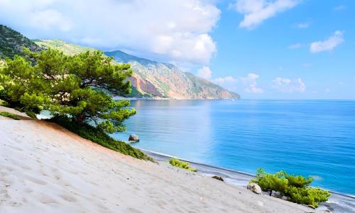 Eliomar Beachside Villa