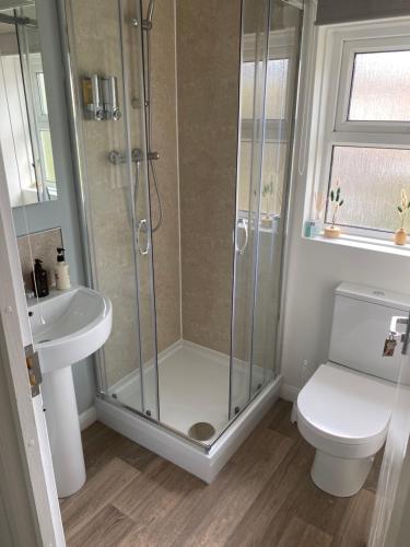 a bathroom with a shower and a toilet and a sink at Poole Park House in Poole