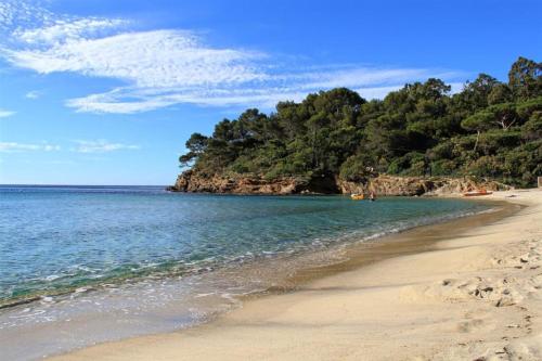 une plage de sable avec des arbres et l'océan dans l'établissement T2 with Sea View - Domaine de la Pinède - Heated Pool, au Lavandou