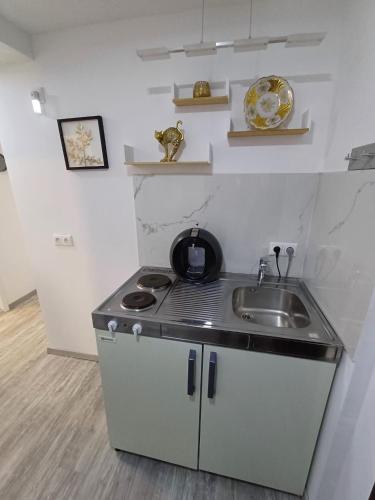 Kuchyň nebo kuchyňský kout v ubytování Haus Gera