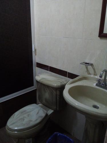 a bathroom with a toilet and a sink at LA HUERTA Cabaña y Hospedaje in Huasca de Ocampo