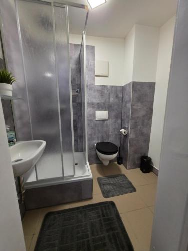 a bathroom with a shower and a toilet and a sink at Hotel New Town in Dresden