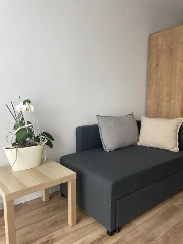 a couch sitting in a living room next to a table at Pensjonat Absynt in Nowy Targ