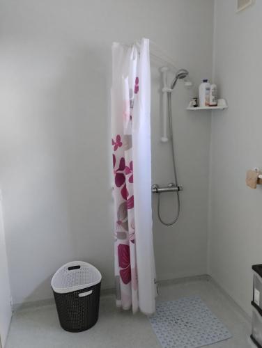 - un rideau de douche dans la salle de bains pourvue d'une poubelle dans l'établissement Maison de campagne dans le vignoble Gallacois, à Gaillac