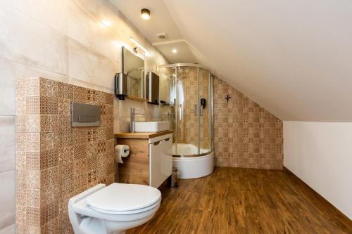 a bathroom with a toilet and a shower at Noclegi na Wspólnej in Skrzyszów