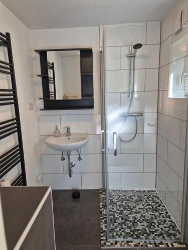 a bathroom with a shower and a sink at Haus Evelynchen Apartment 2 Deutschhof in Deutschhof