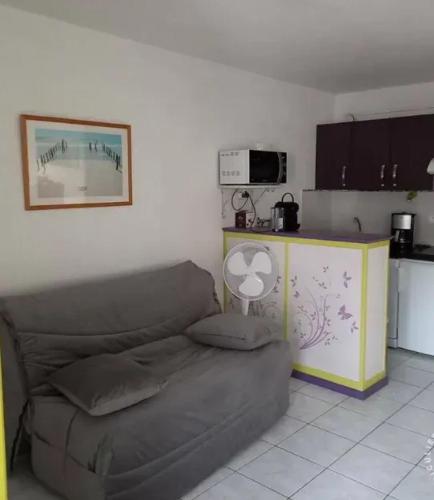 un salon avec un canapé et une cuisine dans l'établissement Studio fonctionnel à Agde, 30 m² avec jardin, au Cap d'Agde