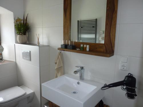 ein Badezimmer mit einem Waschbecken, einem Spiegel und einem WC in der Unterkunft Appartement Traunseeferien in Altmünster