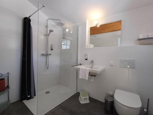 恩吉尔波登Tauerndorf Enzingerboden Ski in&out - Steinbock Lodges的带淋浴、马桶和水槽的浴室