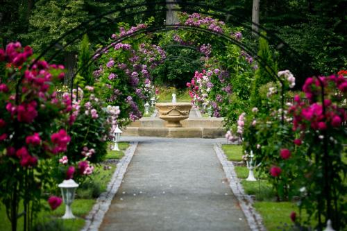 Jardin de l'établissement Zámek Jemniště