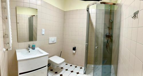 a bathroom with a shower and a sink and a toilet at LAS SŁUPSKI APARTAMENTY PREMIUM Wifi Netflix Smart TV50 Wysoka Jakość za Niską Cenę Zapraszamy in Słupsk
