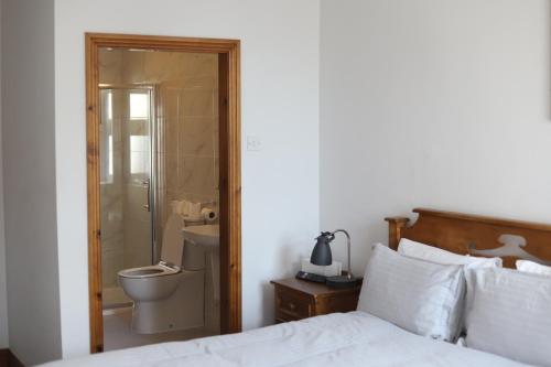 a bedroom with a bed and a bathroom with a shower at Ashes Seafood Restaurant Accommodation in Dingle