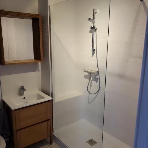 une salle de bain avec douche et lavabo dans l'établissement Cosy Flat - Terrasse - Parking - 40m2, à La Rochelle