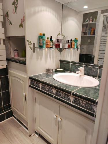 une salle de bain avec un lavabo et un miroir dans l'établissement Studio- Piscine- Clim- Plages, à Bormes-les-Mimosas