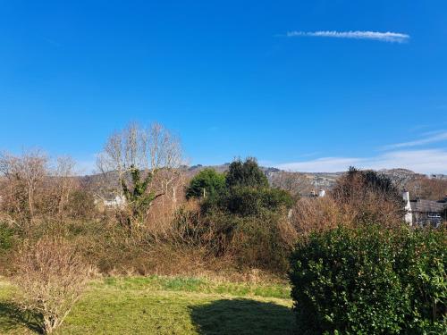 a view of a field with trees and a blue sky at Conwy Valley Hotel in Conwy