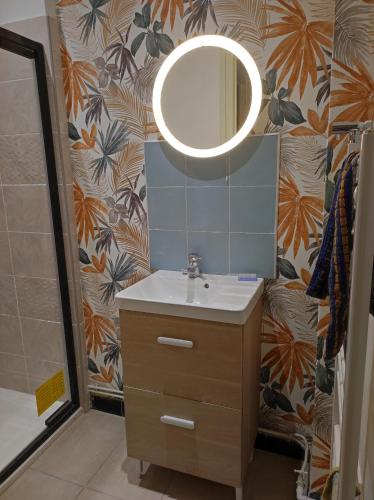 une salle de bain avec un lavabo et un miroir dans l'établissement COUNTRY Cottage, à Craponne-sur-Arzon
