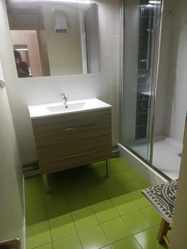 une salle de bain avec un lavabo et une douche dans l'établissement Appartement Au Pied Des Pistes, à Puy-Saint-Vincent
