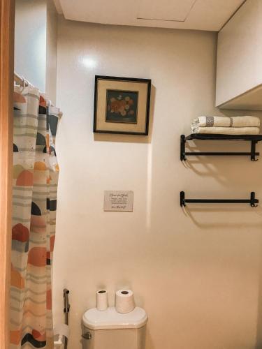 a bathroom with a toilet and a picture on the wall at Cozy Near Mall SM Fairview Trees Residences Quezon City in Manila