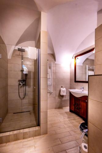 a bathroom with a shower and a sink at Hotel Casa Wagner in Sighişoara