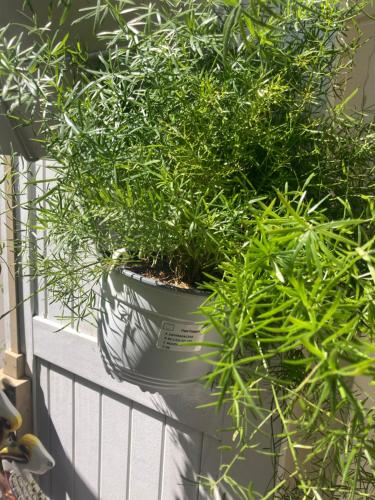 une plante en pot assise sur un fond de fenêtre dans l'établissement Belle chambre avec accès à une terrasse, à Paris