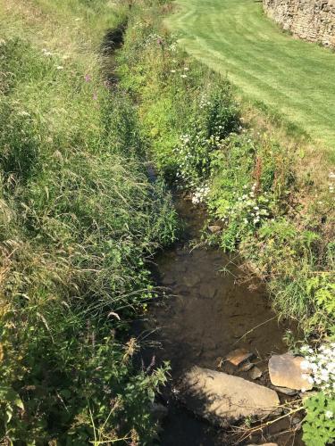 a creek in a field with grass and flowers at Wend Gardens Studio Carleton Skipton Pet Friendly in Skipton