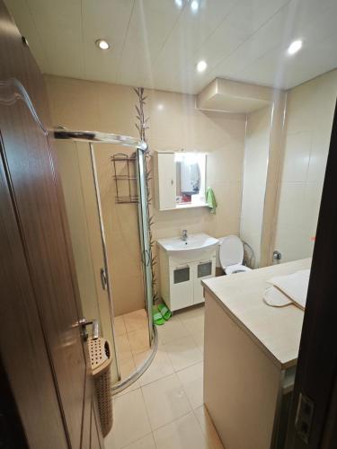 a bathroom with a shower and a sink at Banchevi Guest Apartment in Haskovo