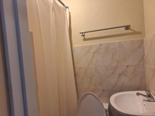 a bathroom with a shower and a toilet and a sink at Apartamentos En Edificio Amapola Zona Colonial Malecón in Santo Domingo