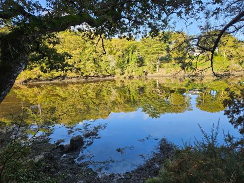 a body of water with trees reflecting in it at Gîte Les mouettes qui caquètent in Moëlan-sur-Mer