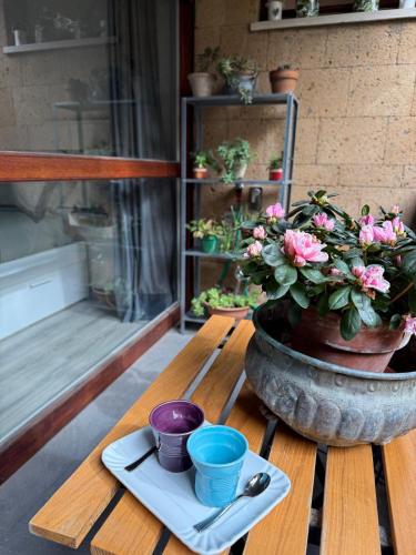 a table with a potted plant on top of it at IL GIARDINETTO DI ELELU' Private Garage in Orvieto