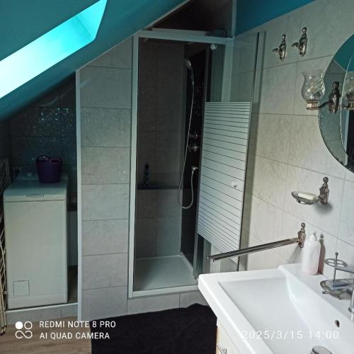une salle de bain avec une douche, un lavabo et un miroir dans l'établissement PETIT APPARTEMENT 30M2, 3 lits, de 1 à 4 pers, à Neuilly
