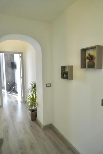 a white room with two plants on the wall at B&B il Rio in Anacapri