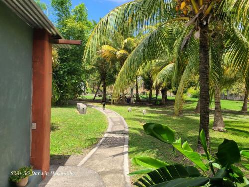 a walking path in a park with palm trees at Rancho Tranquillo in Moyogalpa