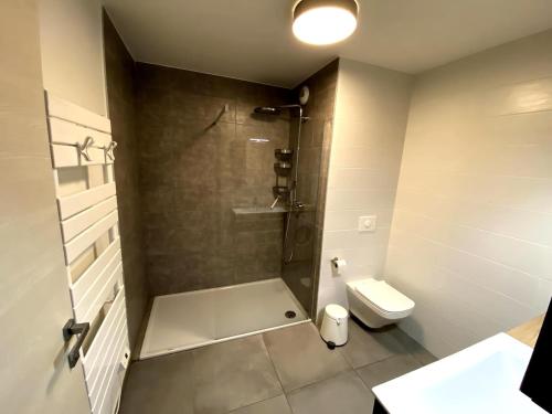 a bathroom with a shower and a toilet at Petit nid au centre ville avec garage privé in Annecy
