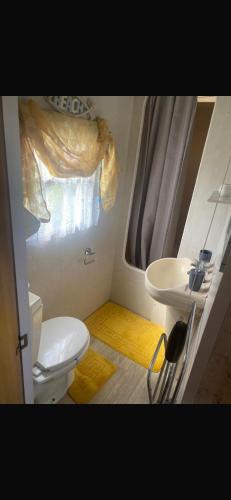 a small bathroom with a toilet and a sink at Summerlands caravan park, p29 in Skegness