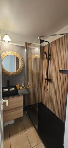 ein Badezimmer mit Dusche, Waschbecken und Spiegel in der Unterkunft Appartement cosy sous pinède lac de Biscarrosse rénové in Biscarrosse