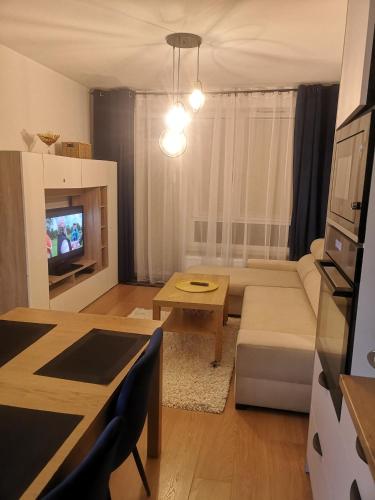 TV a/nebo společenská místnost v ubytování Apartament pod modrzewiem