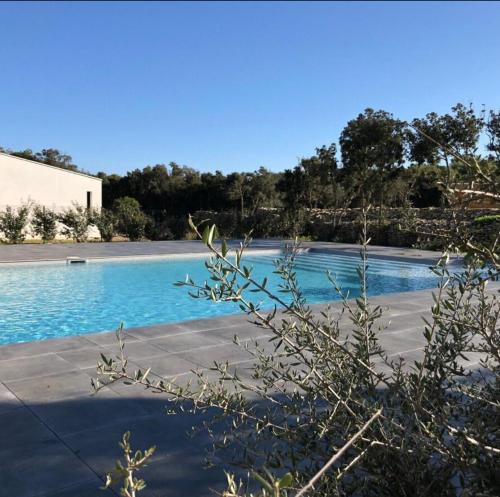 A LAVANDA Maison BONIFACIO