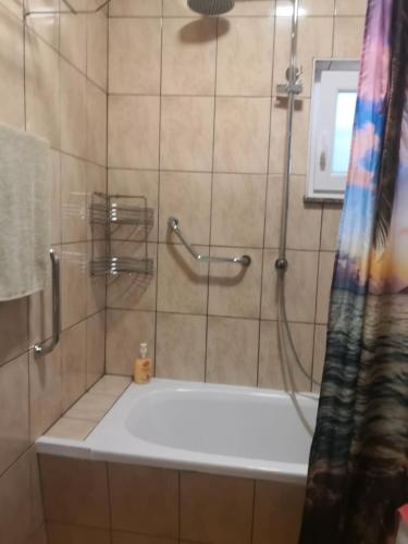 Bilik mandi di Apartman Niko