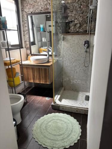 a bathroom with a shower and a toilet at City Center Luxurious Studio in Praia