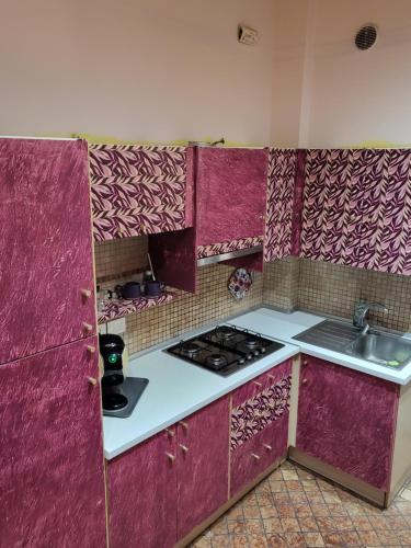 a kitchen with purple walls and a stove and a sink at Kiki House in Turin