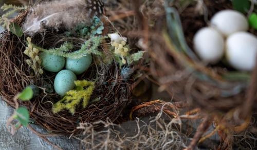 a bird nest with three eggs in it at Glenn Meadow Bed and Breakfast in South Haven